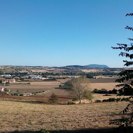 Vila Agriturismo Relais La Scala Di Seta Potenza Picena Exteriér fotografie