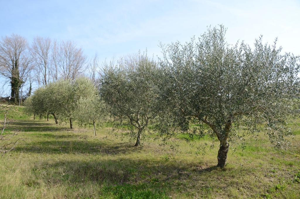 Vila Agriturismo Relais La Scala Di Seta Potenza Picena Exteriér fotografie